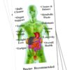 Daily Detox Brochures